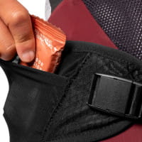Apidura Expedition Waist Belt Hüftgurt
